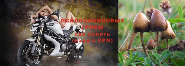 гидропоника Абаза