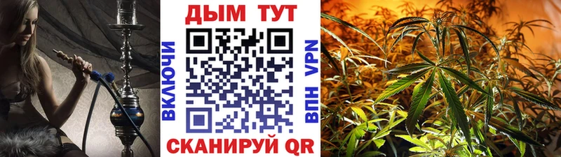 Конопля OG Kush наркота Великий Новгород